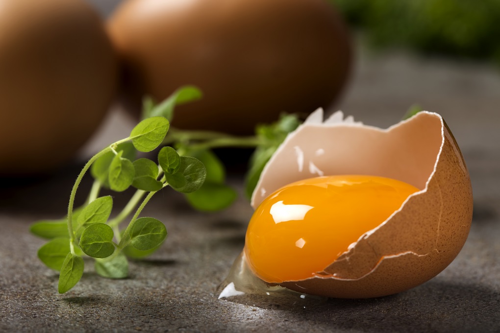One cracked egg with yolk and fresh green oregano