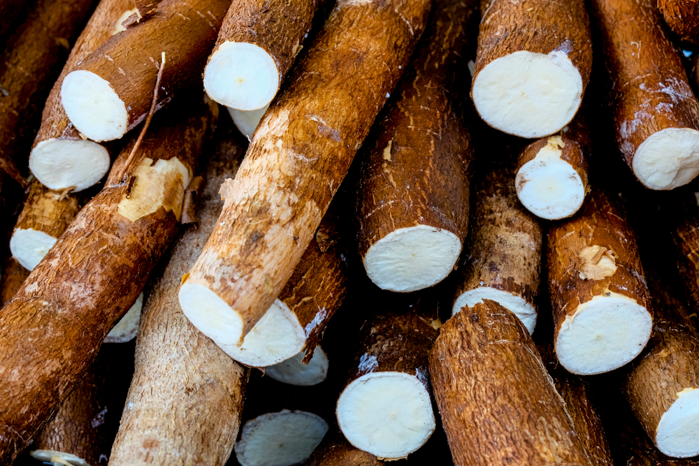 Manioc curățat